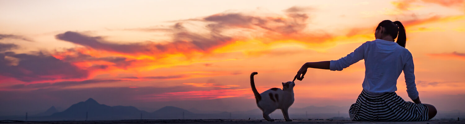 Woman with cat at sunset