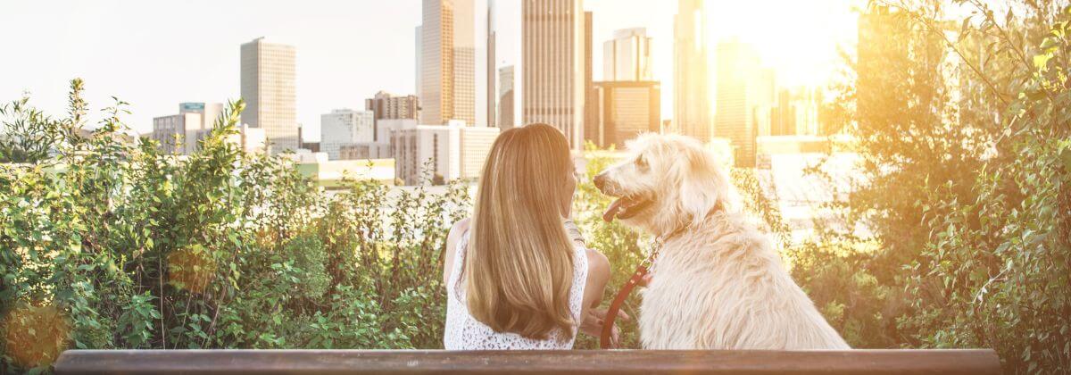 Woman and her dog looking out at city skyline