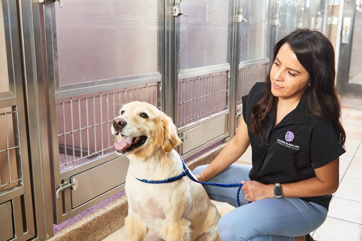 Staff member petting a dog with a leash