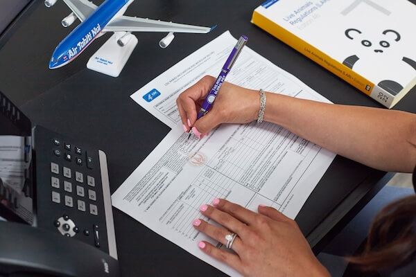 Team member filling out health certificate paperwork