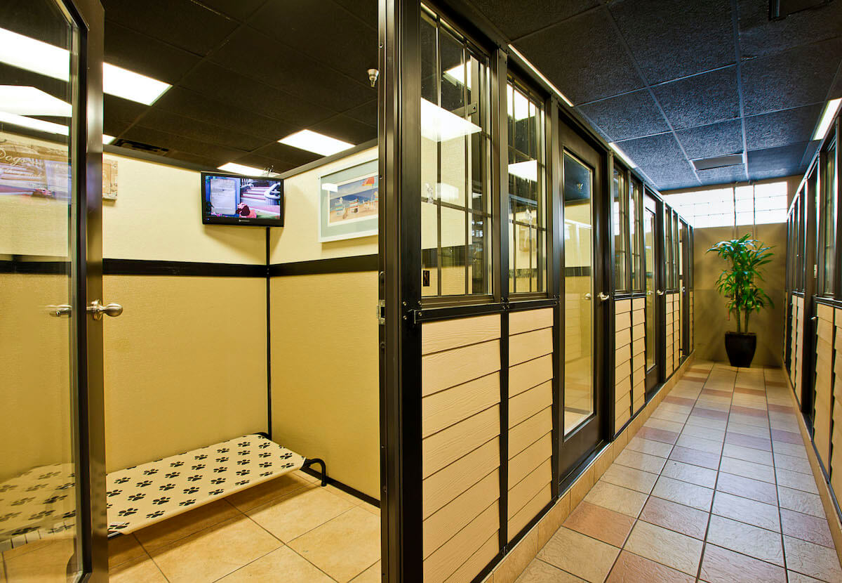 Image showcasing Luxury Pet Boarding near LAX