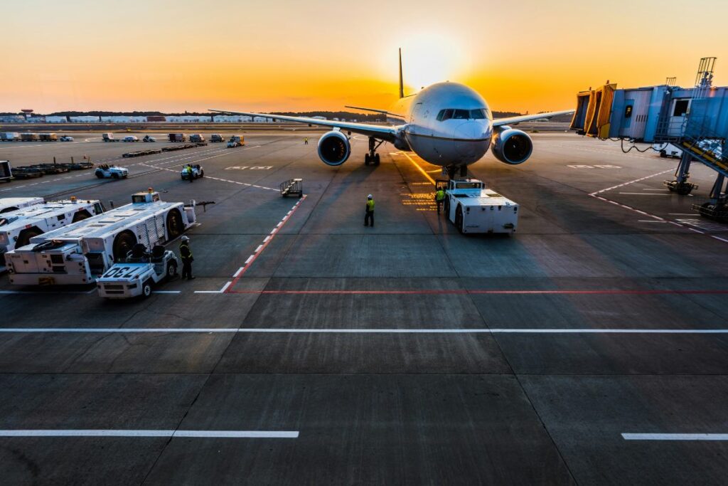 Illustration of Pet Travel Airline Policy