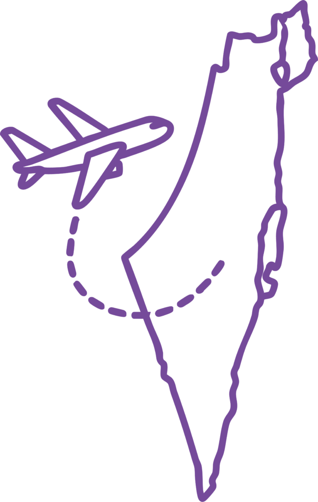 Outline of Israel with a plane flying over it. 