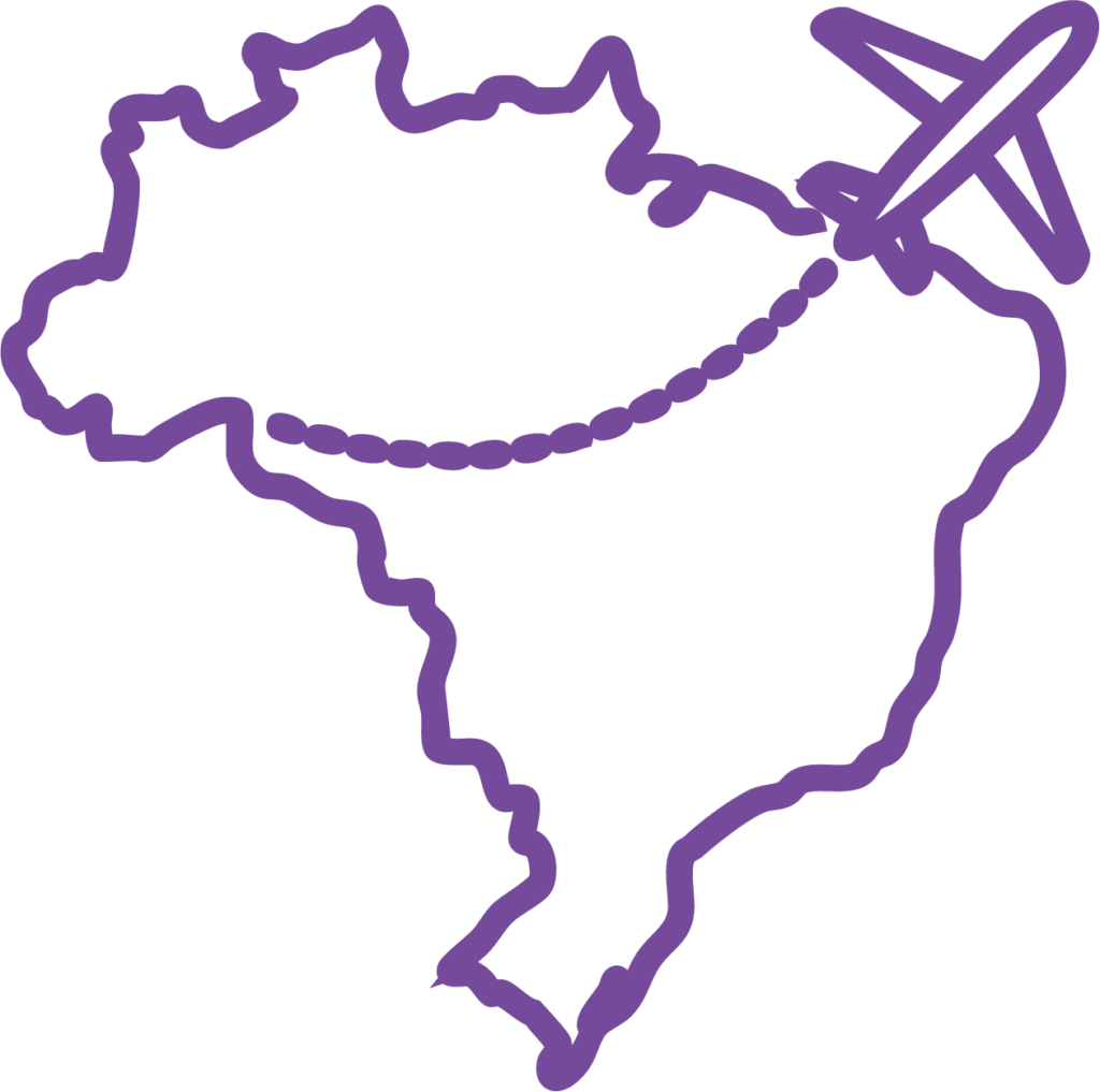 Outline of Brazil with a plane flying over it. 