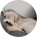 TARA ANGELLE MCCALLUM profile picture