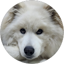 Jess profile picture